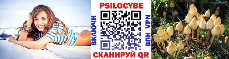 цены   Городец  Галлюциногенные грибы Magic Shrooms 